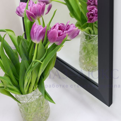 Зеркало АЛМАЗ-ЛЮКС бытовое в раме 1100*400мм (карбон)